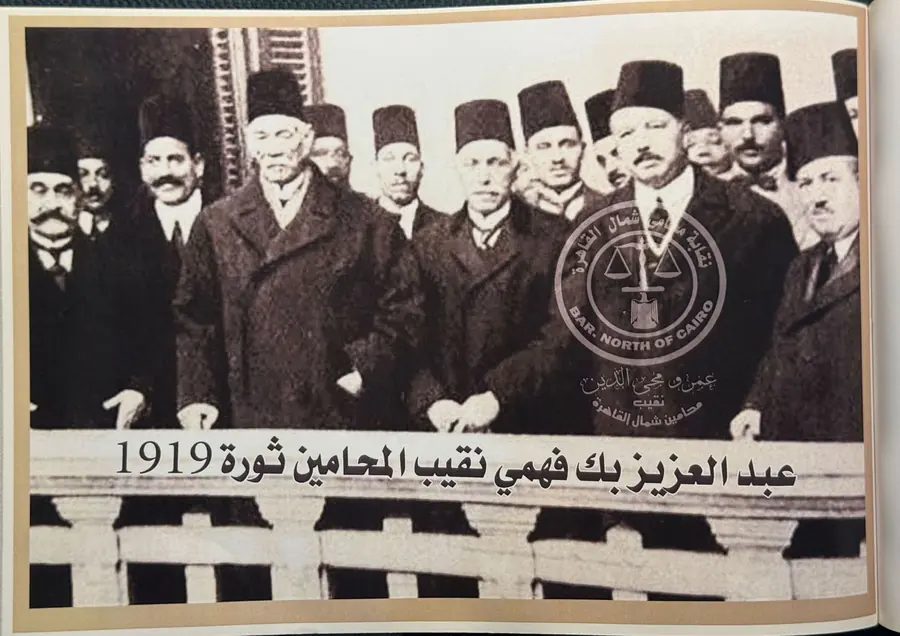 عبد العزيز بك فهمي، نقيب المحامين، في ثورة ١٩١٩.
