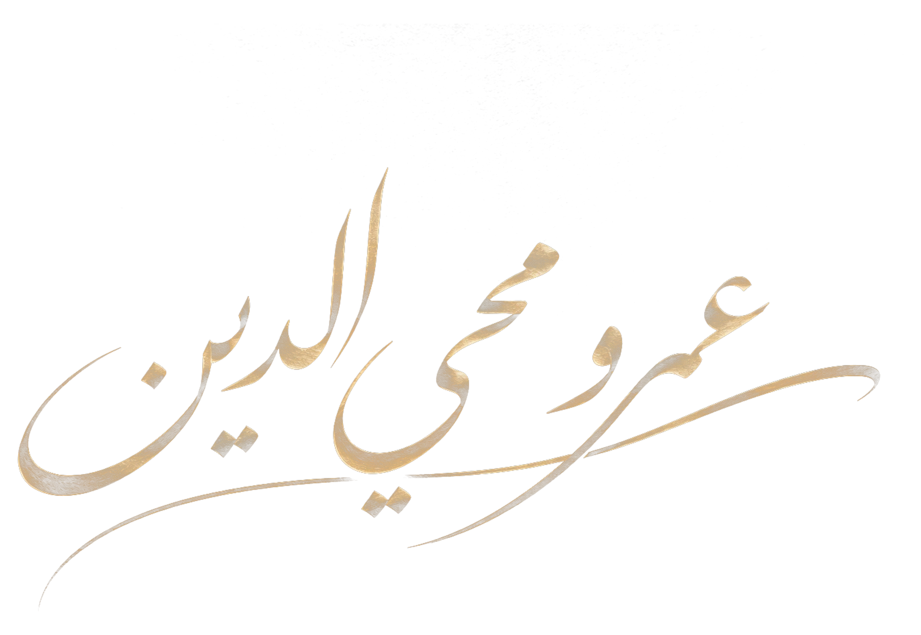 عمرو محي الدين